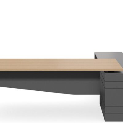 DD Geo Forum Executive Desk