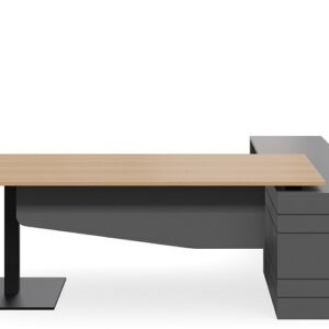DD Geo Scope Executive Desk