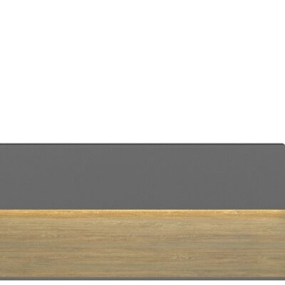 DD Iris Reception Desk