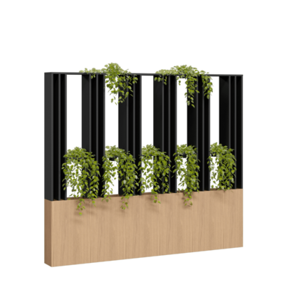 DD Corridor Vertical Garden