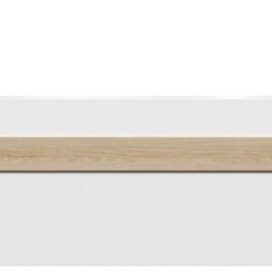 Mies_Ribbon_NO_W_Front_01.jpg