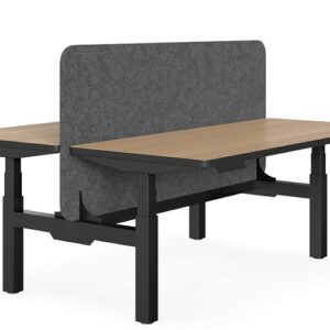 DD DUO Height Adjustable Workstation