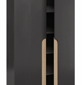 Amaya_2_Door_Cupboard.png