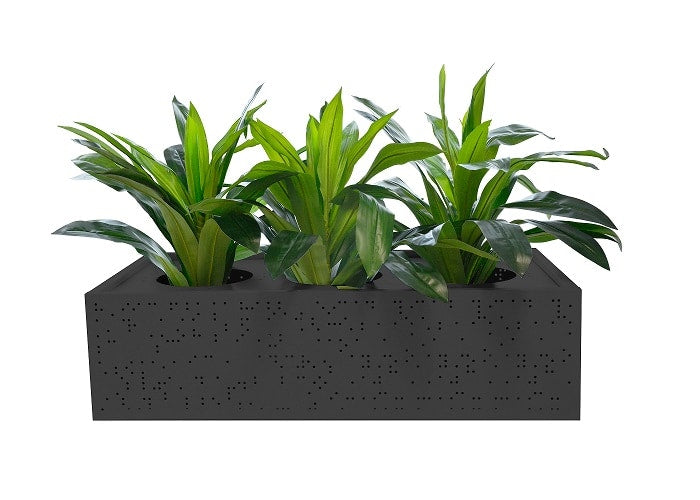 Black-Planter.jpg
