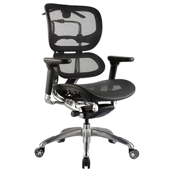 ERGO-1L.jpg