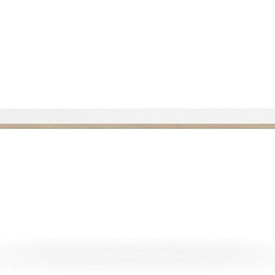 Forum_Desk_PlywoodEdge_Front_01web_2728fabe-13e9-45b5-9116-54999bc61ba2.jpg