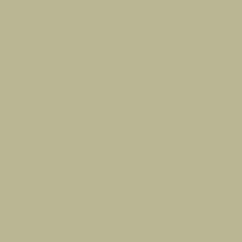 Fossil-3_cf5b76f2-bb40-4cfc-a724-4303d53b3d80.png