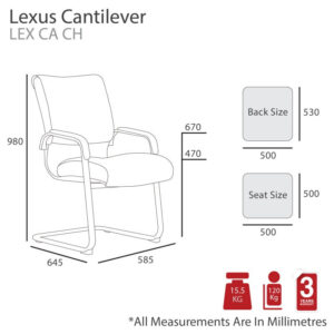 LexusCA-800x800-1.jpg