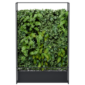 Lush_Garden_LSHGRDNWL152104.png