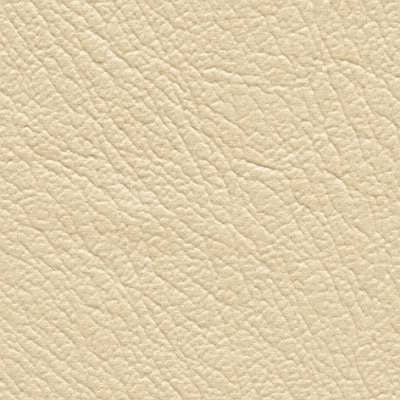Matic_Vinyl_Coconut-2.jpg