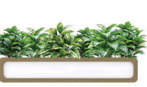 Rover_Planter_Box_Large_fd02fc1c-991b-4801-a9bc-d27937421291.png