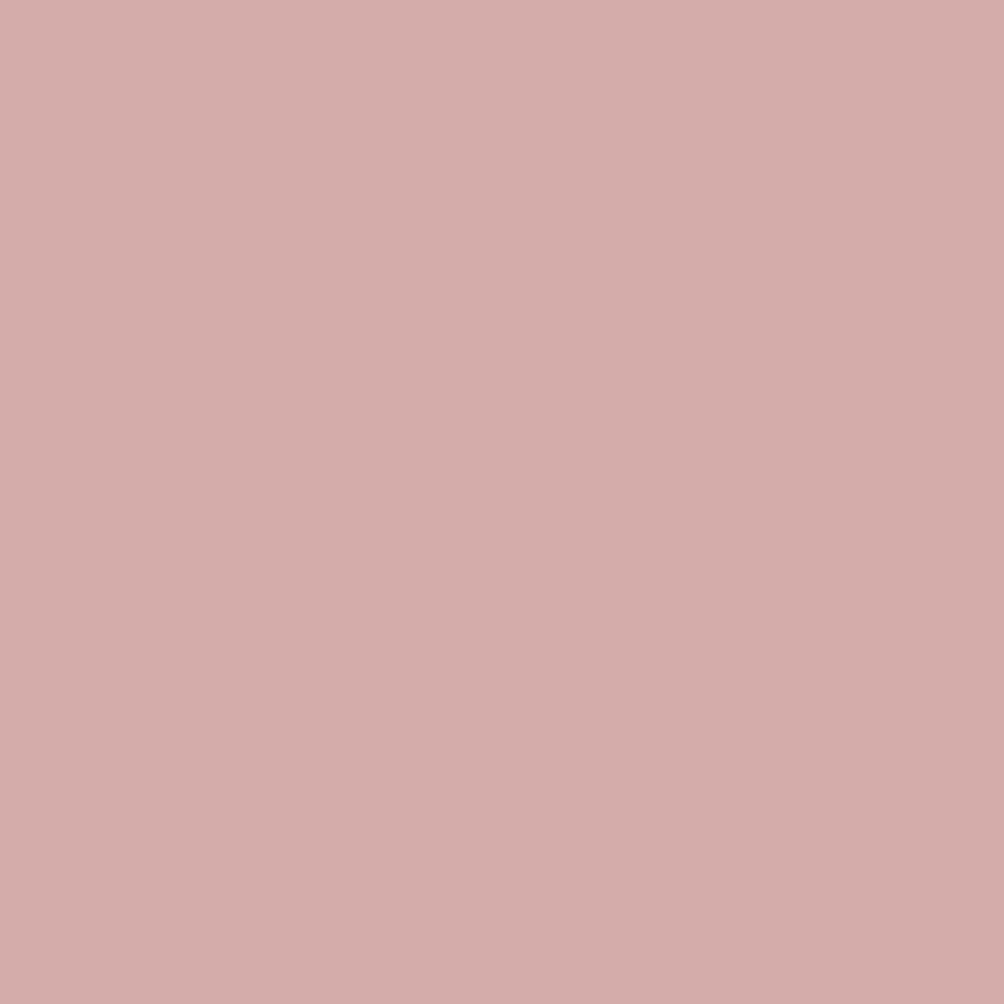 Salmon-3_e6d2f9bf-0e1d-42a7-84d9-d9210b388cb7.png