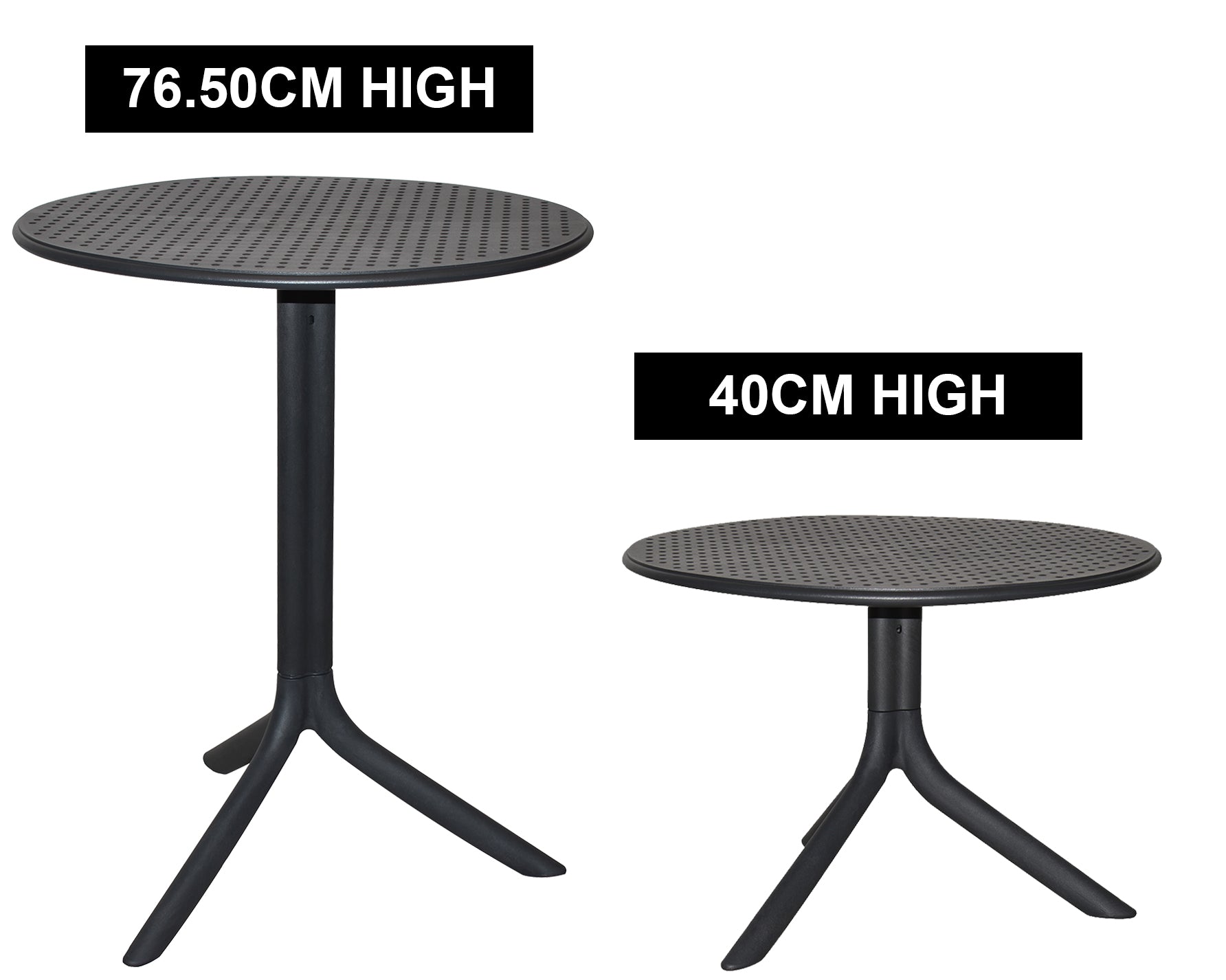 TAST60AN04.jpg