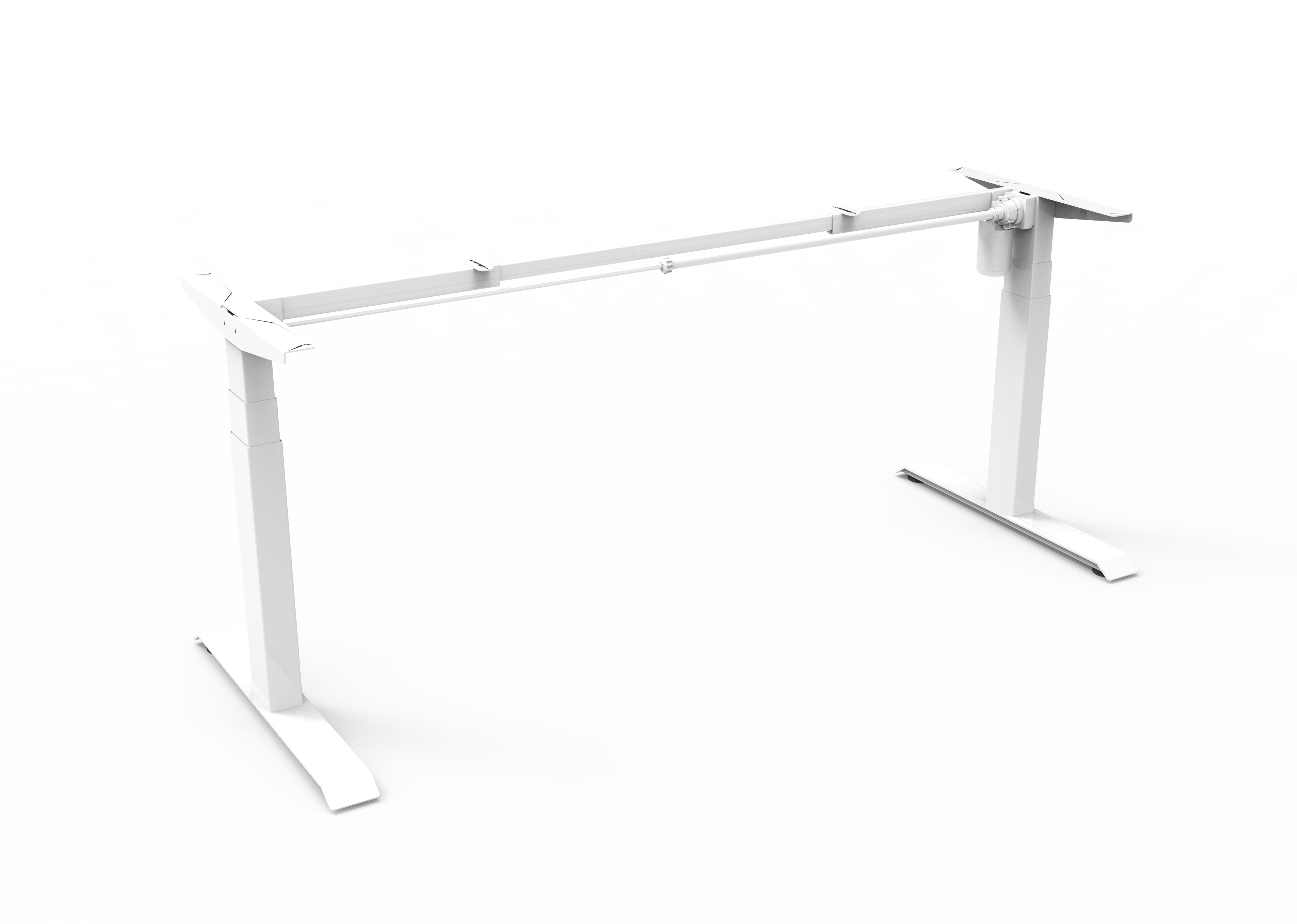 mc_images_blsf_ws.png